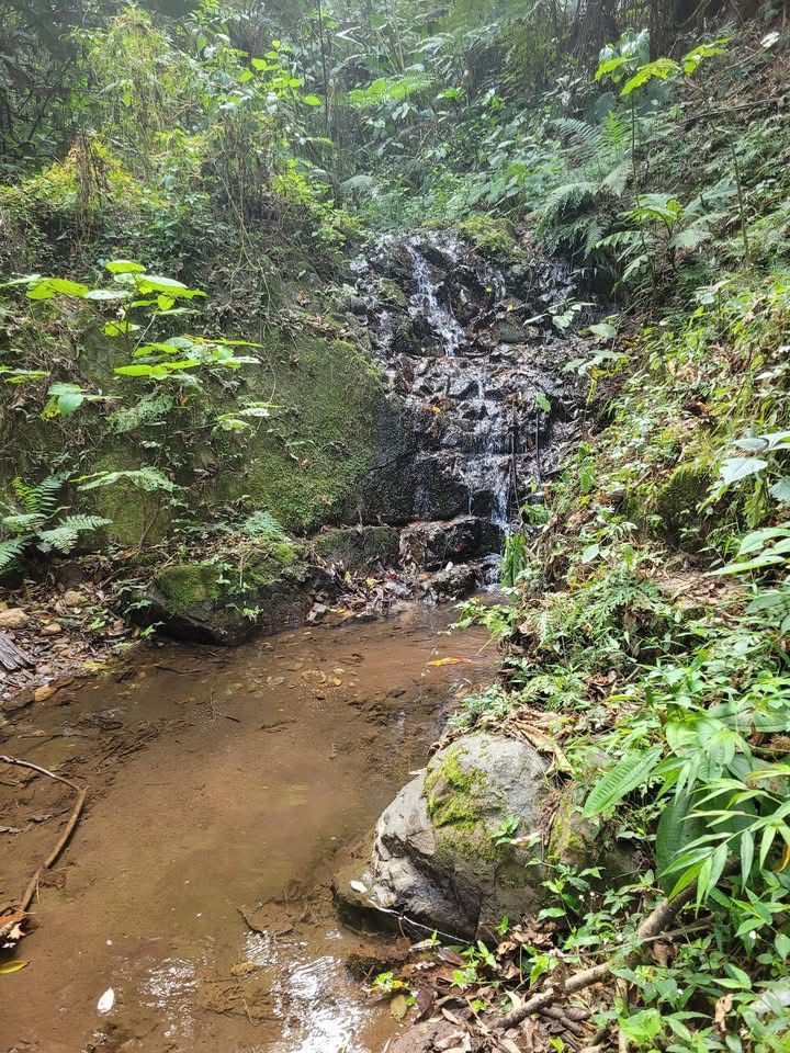 En el Día de la Madre Tierra