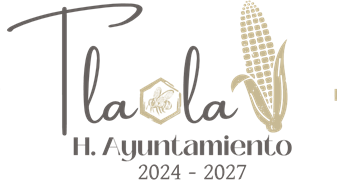 H. Ayuntamiento de Tlaola